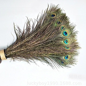 Cheap wholesale big eye natural long peacock tail feathers for sale