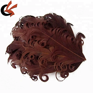 Vintage Inspired Nagorie Curly Feather Pad