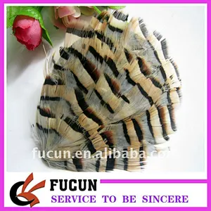 colorful feather headband