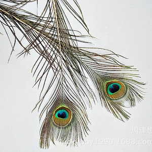 Cheap wholesale big eye natural long peacock tail feathers for sale