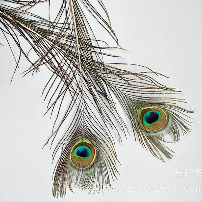 Cheap wholesale big eye natural long peacock tail feathers for sale