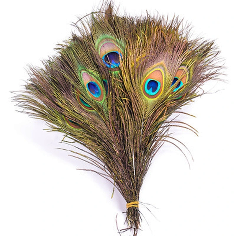 hot sale top quality 25-130cm real natural peacock tail feather for sale