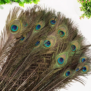 Cheap wholesale big eye natural long peacock tail feathers for sale