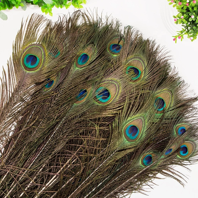 Cheap wholesale big eye natural long peacock tail feathers for sale