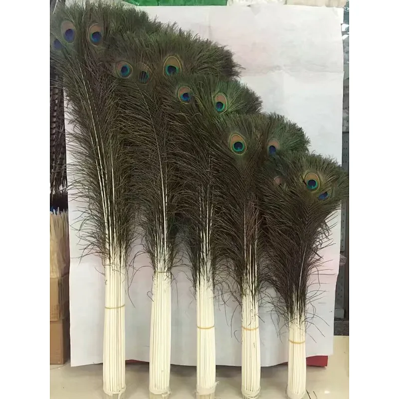 Wholesales party Cheap Beautiful Natural Or Dyed Peacock Feather For Sale