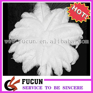18-20 inches multicolor plumage decoration ostrich feather for party and wedding