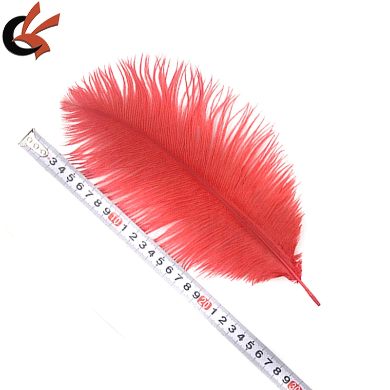 white ostrich feather for sale
