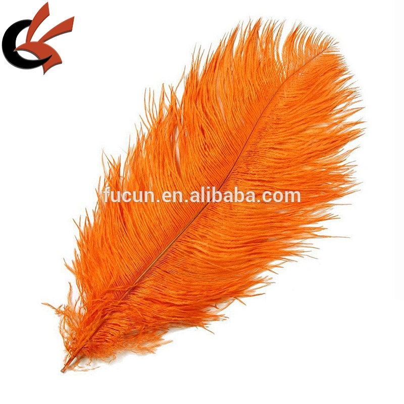 Lose Natural Long Fluffy Ostrich Feathers