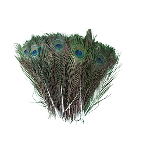 Wholesale High quality beautiful natural peacock feathers for carnival decoration