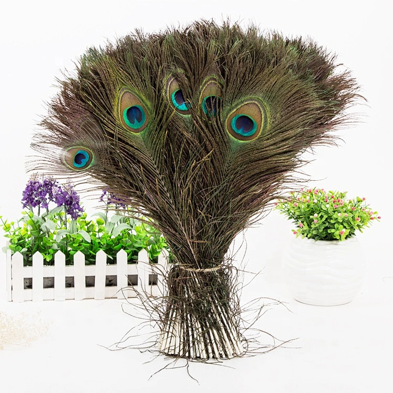 Cheap wholesale big eye natural long peacock tail feathers for sale