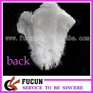 colorful ostrich feather for wedding decoration