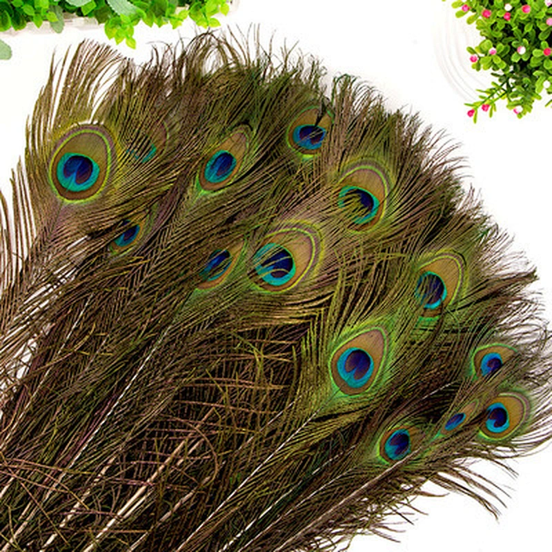 Wholesales party Cheap Beautiful Natural Or Dyed Peacock Feather For Sale