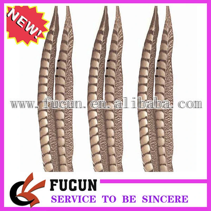 cheap pheasant feathers for carnival costumes