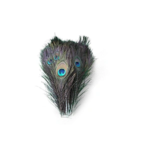 Wholesale High quality beautiful natural peacock feathers for carnival decoration
