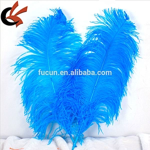 Lose Natural Long Fluffy Ostrich Feathers