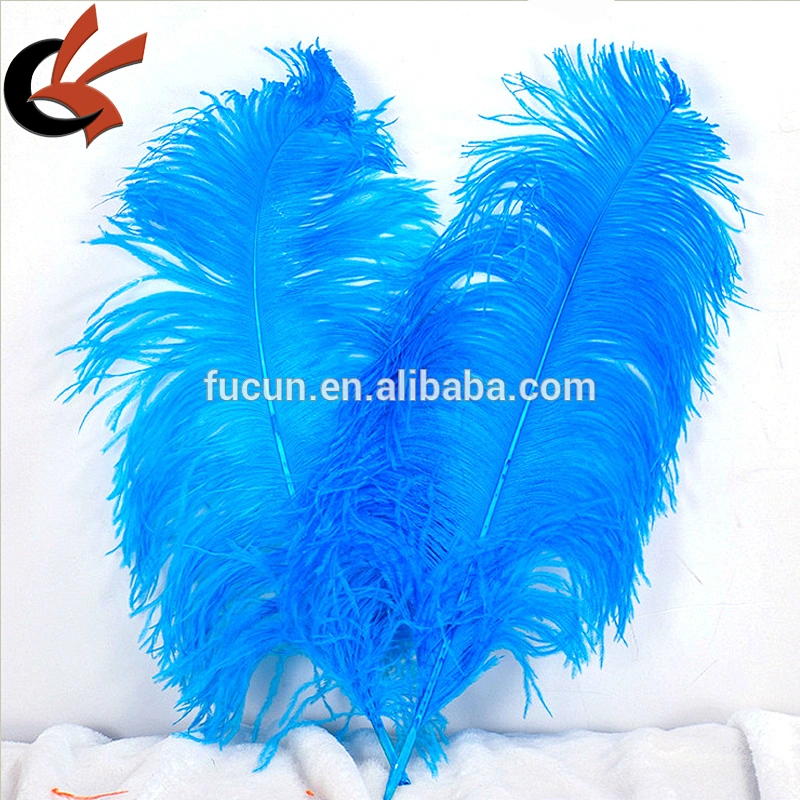 Lose Natural Long Fluffy Ostrich Feathers