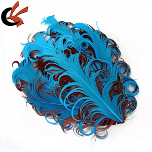 Headband Colorful nagorie curly goose feather pad