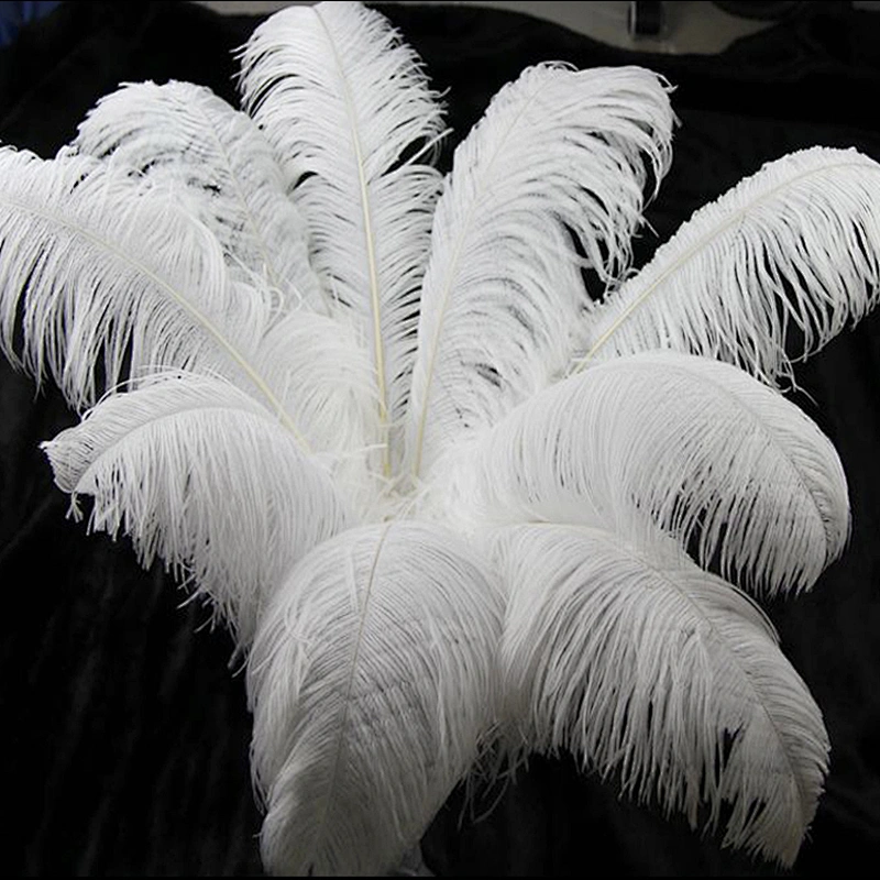 Factory direct sell ostrich feathers size 50-55cm fluffy plume white ostrich feather