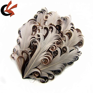 Best Sale Beautiful colors Hair Decoration Curly Goose Feather Pad