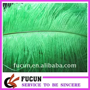 Hot sale Ostrich Feather for decoration