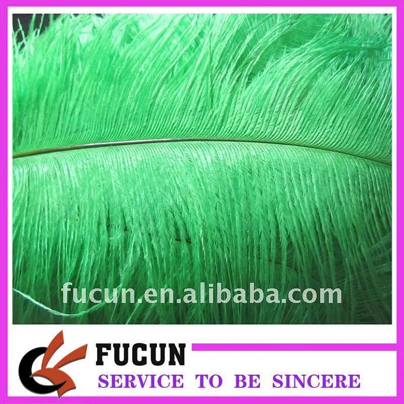 Hot sale Ostrich Feather for decoration