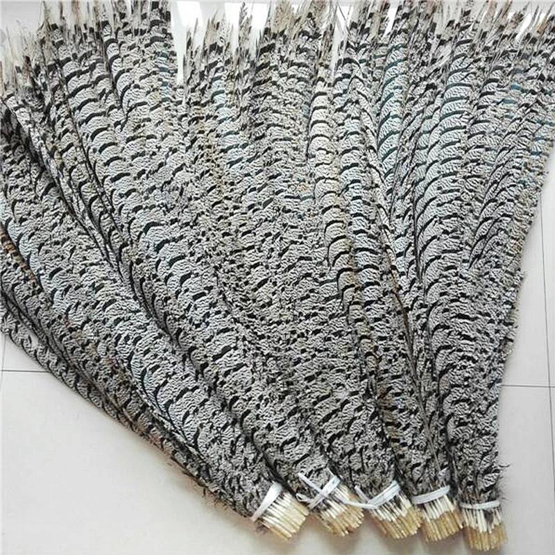 2019 hot sale lady amherst pheasant feathers for sale for Costume party decoration