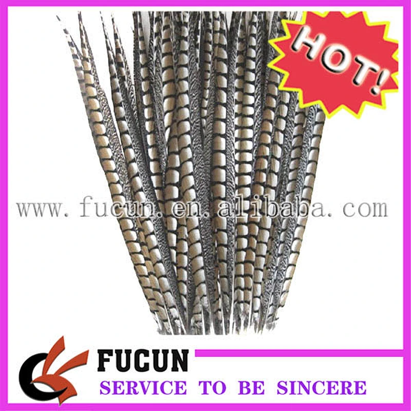 cheap pheasant feathers for carnival costumes
