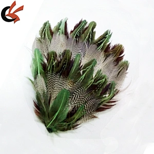 Feather Pad Peacock - Headband Hair Accessories Clips Fascinator Wedding Bridal