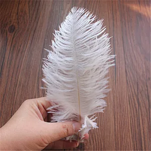 High quality all size colorful decoration ostrich feather plumes for sale