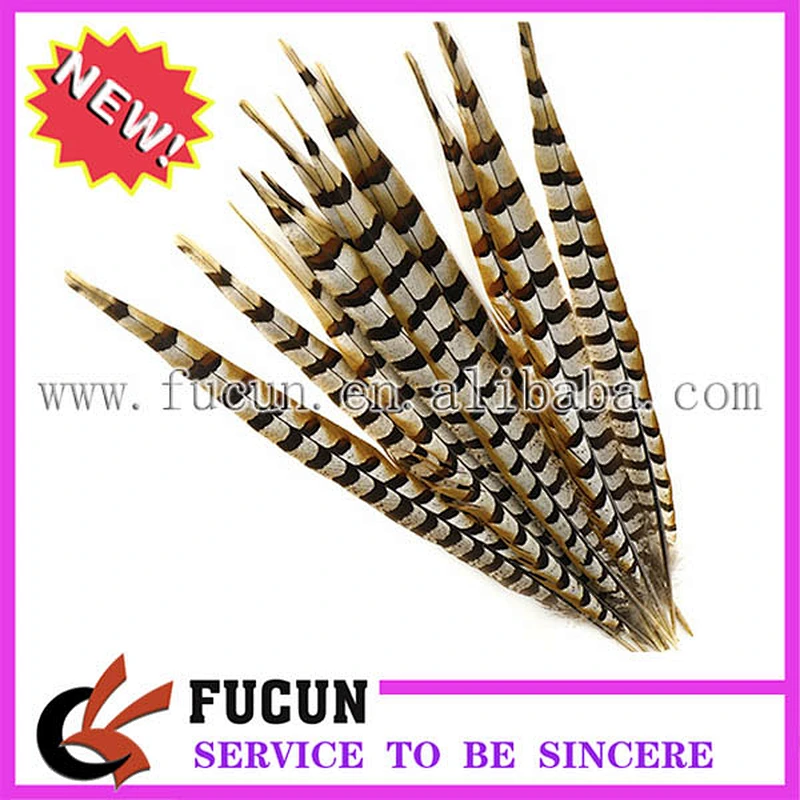cheap pheasant feathers for carnival costumes
