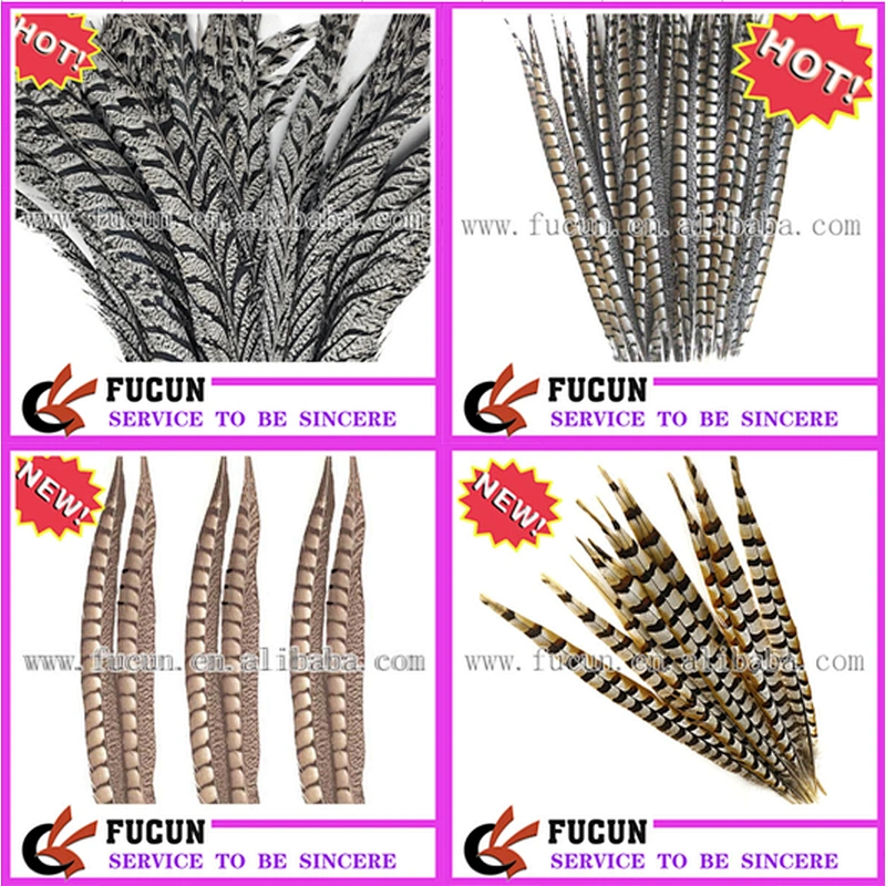 lady amherst pheasant feathers for party dress