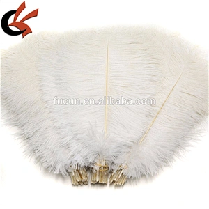 Hot Sale Purple color Natural Long Fluffy OSTRICH FEATHERS