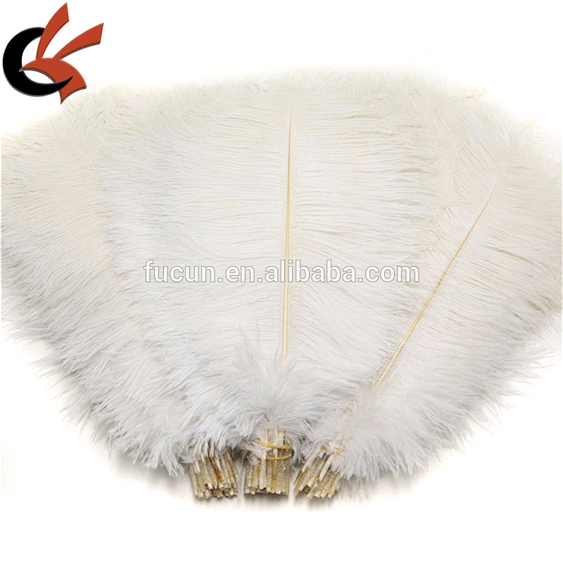 Hot Sale Purple color Natural Long Fluffy OSTRICH FEATHERS