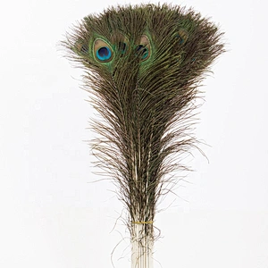 Wholesale natural green color indian peacock feather for stage performance props decoration