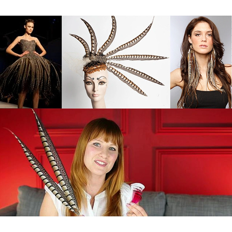cheap pheasant feathers for carnival costumes