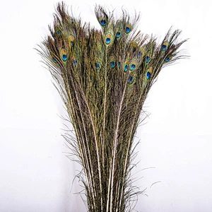 Wholesales party Cheap Beautiful Natural Or Dyed Peacock Feather For Sale