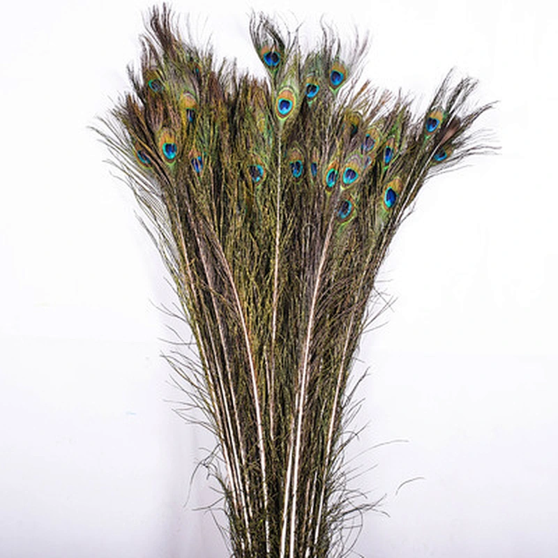 Wholesales party Cheap Beautiful Natural Or Dyed Peacock Feather For Sale