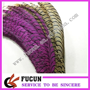 China factory price natural pheasant tail feathers for carnival costumes