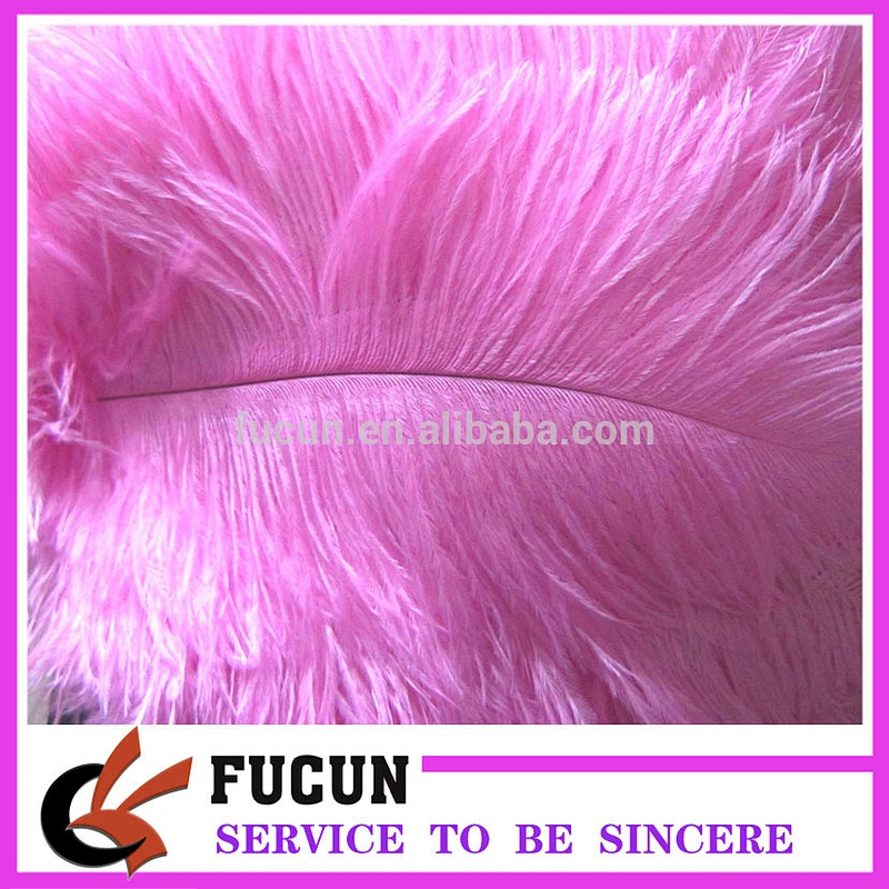 White Ostrich Feather/wholesale ostrich feathers