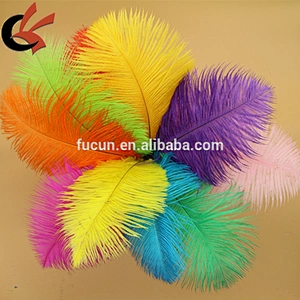 10-12 inch (25-30cm) Real Natural Ostrich Feather