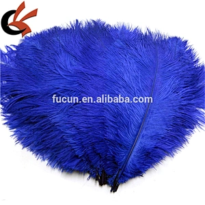 Lose Natural Long Fluffy Ostrich Feathers