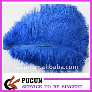 Colored Ostrich Feather for performance