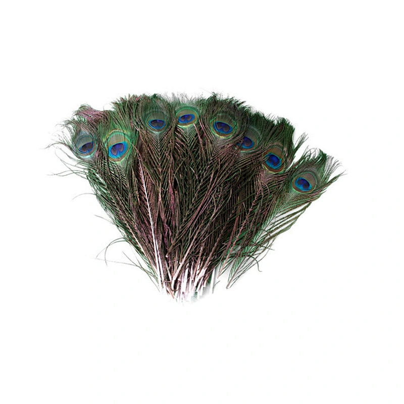 Wholesale High quality beautiful natural peacock feathers for carnival decoration