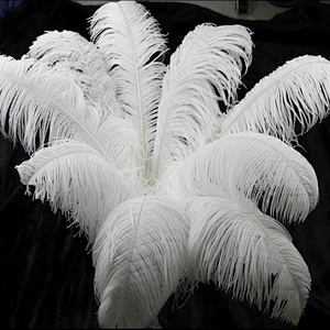 Best sale cheap white ostrich feathers plume wedding table decorative large white ostrich feather