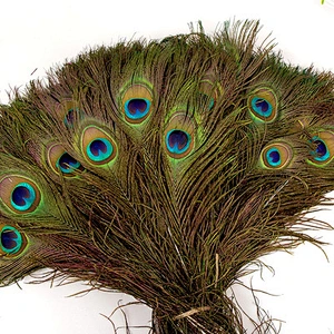 hot sale top quality 25-130cm real natural peacock tail feather for sale