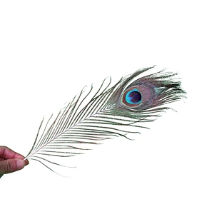 Wholesale High quality beautiful natural peacock feathers for carnival decoration