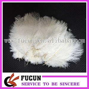 China supplier natural ostrich feather wholesale dyed colored ostrich feathers for wedding and carnival decoration