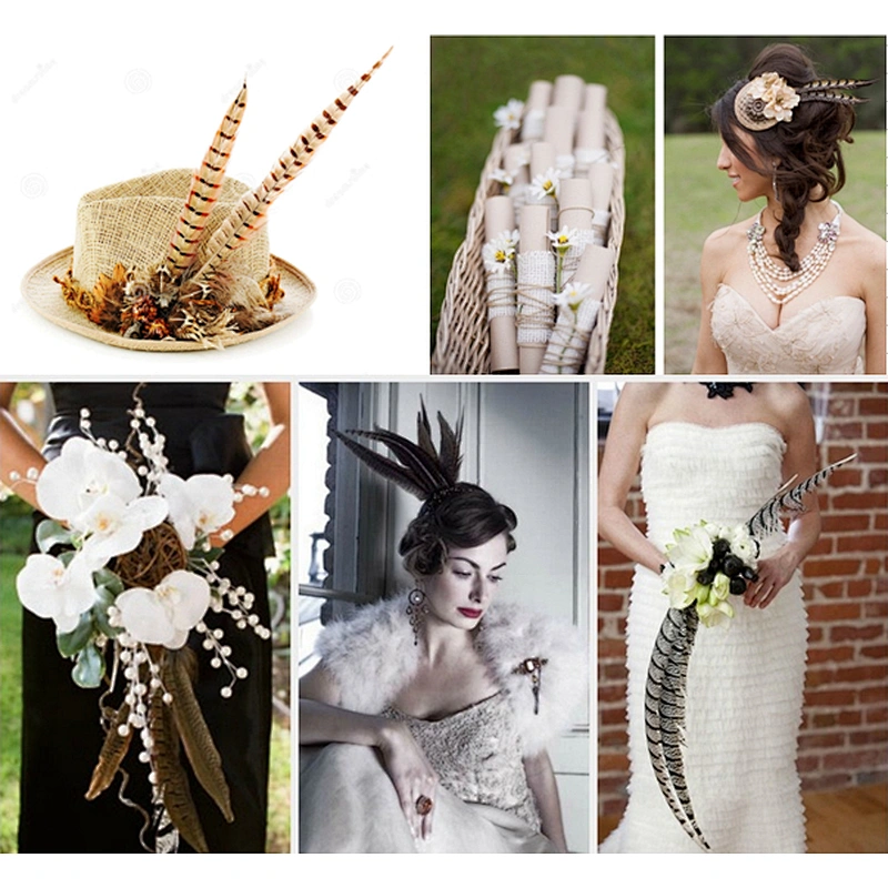 lady amherst pheasant feathers for party dress