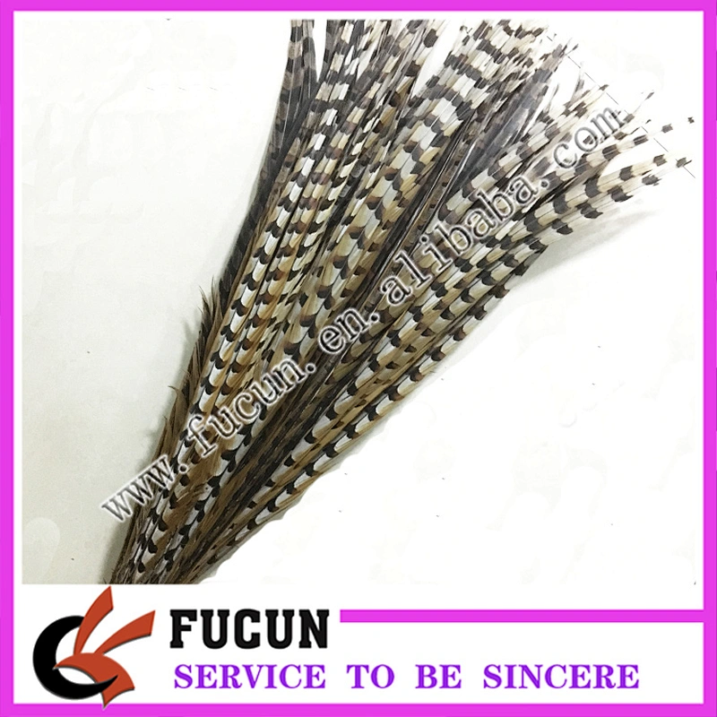 China factory price natural pheasant tail feathers for carnival costumes