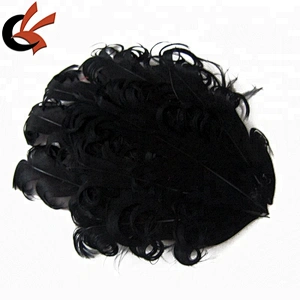 Vintage Inspired Nagorie Curly Feather Pad